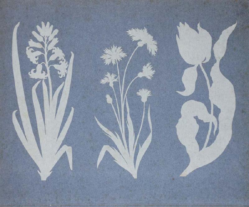 Philipp Otto Runge Hyacinth,Cornflower,Tulip oil painting picture